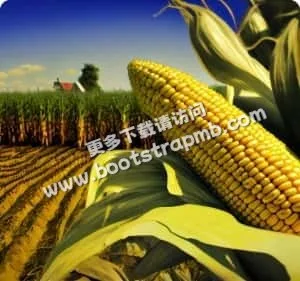 探索无限体育乐趣 - 熊猫体育hangshengbao
